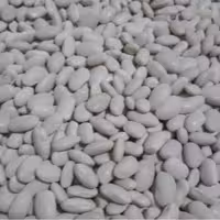 لوبیا سفید ایرانی 10 کیلویی درجه1 کیفیت فوق العاده  فروش عمده 