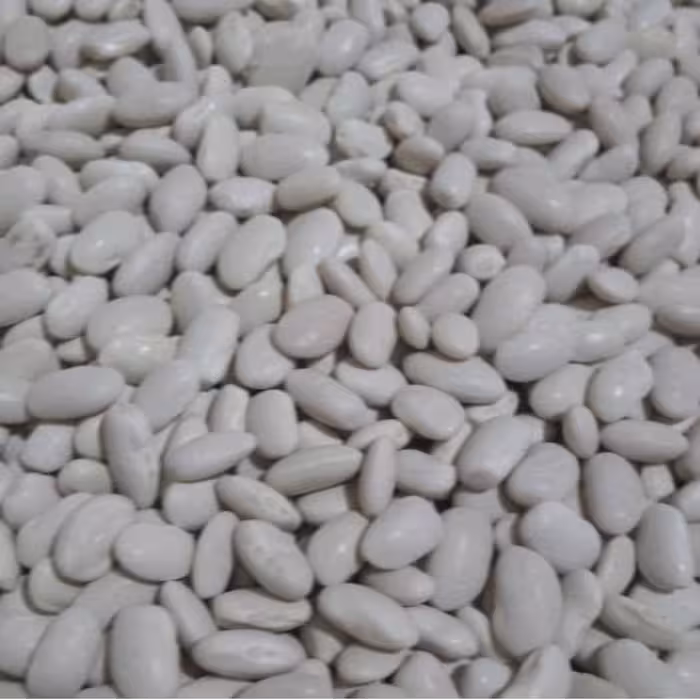 لوبیا سفید ایرانی 10 کیلویی درجه1 کیفیت فوق العاده  فروش عمده 