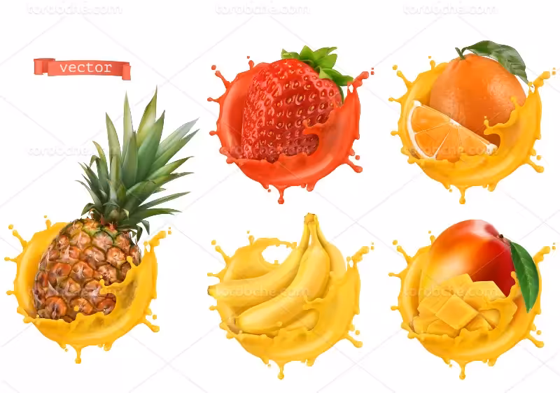 وکتور میوه | گرافیک با طعم تربچه