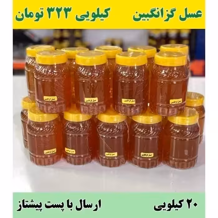 عسل گزانگبین عمده (20 کیلو در ظرف های یک کیلویی) ارسال با پست پیشتاز به سراسر کشور 