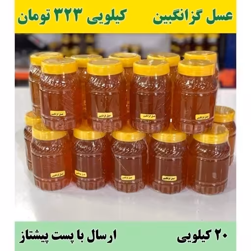 عسل گزانگبین عمده (20 کیلو در ظرف های یک کیلویی) ارسال با پست پیشتاز به سراسر کشور