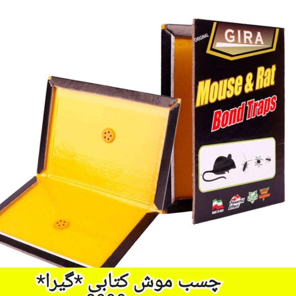 چسب موش کتابی با چسبندگی بالایی و با ضمانت موجود رنگ سبز(عددی)