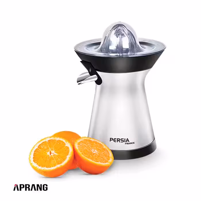 آب مرکبات گیر دیجیتال پرشیا فرانس مدل PR-217 - استیل