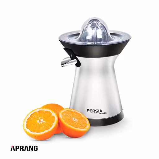 آب مرکبات گیر دیجیتال پرشیا فرانس مدل PR-217 - استیل