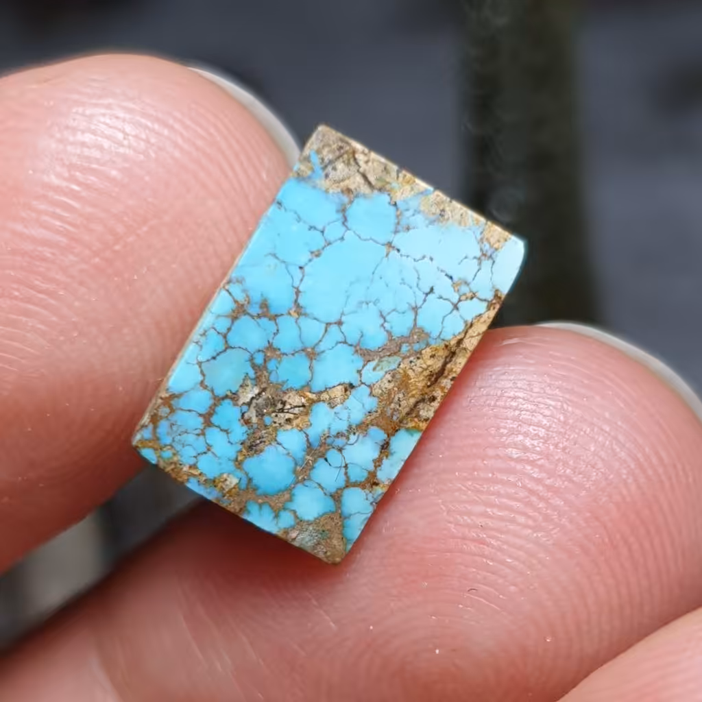  نگین فوق العاده زیبای سنگ صد درصد طبیعی فیروزه معدنی اصل نیشابور
کد 25639
