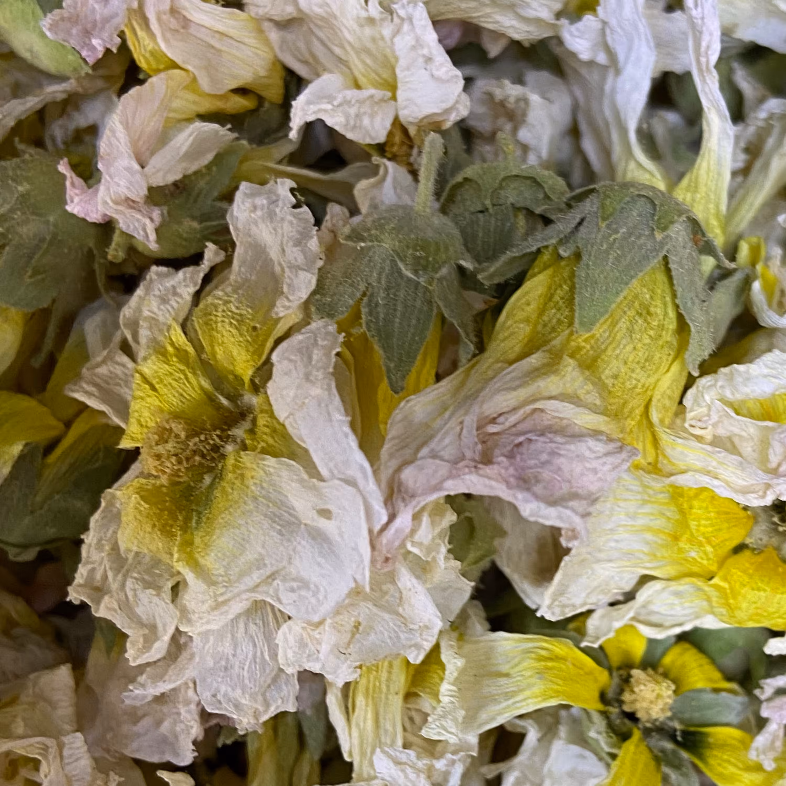 گل ختمی سفید)300 گرمی)