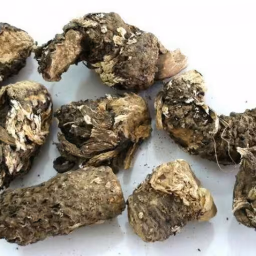 کندش مخصوص هفت گیاه