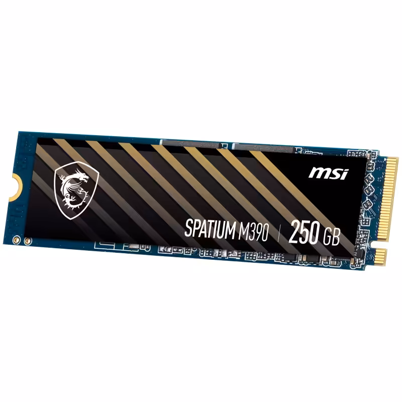 حافظه اس اس دی MSI SPATIUM M390 250GB