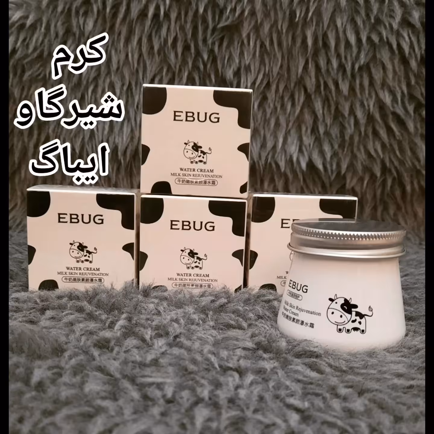 کرم کاسه ای شیر گاو