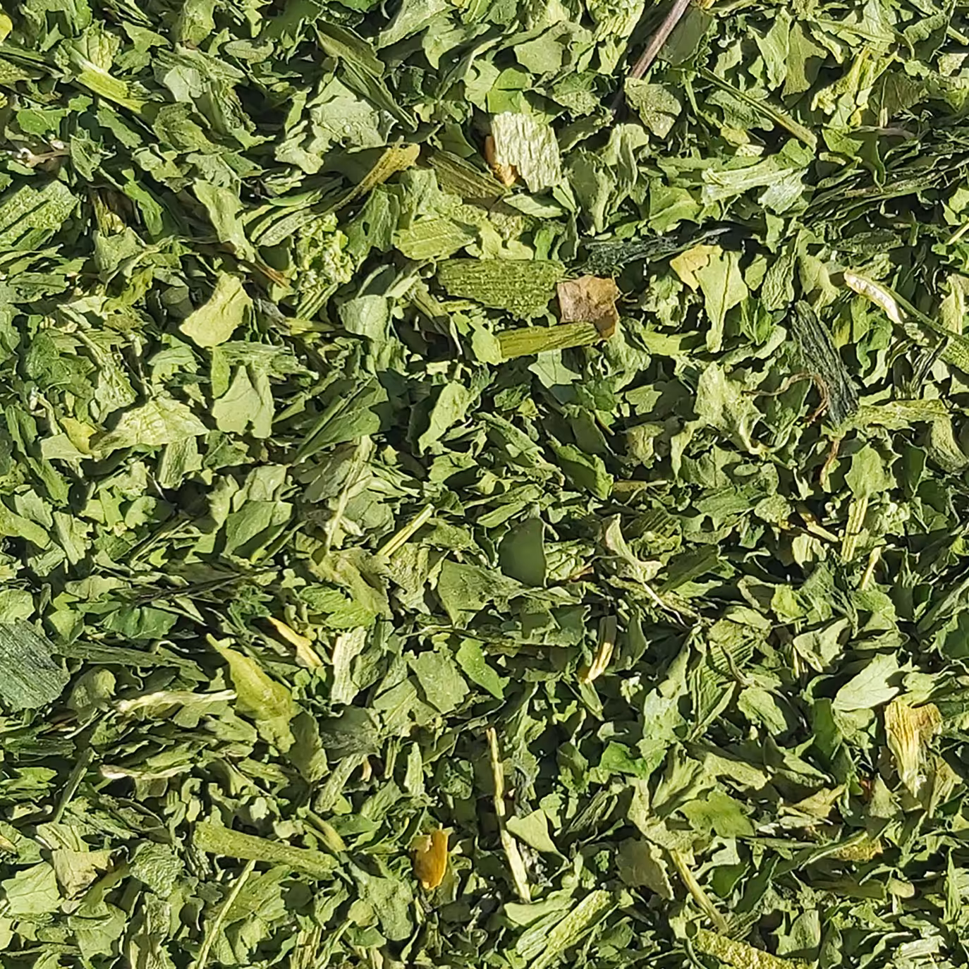 سبزی خشک قورمه (فله 1 کیلویی) محصول برند صادراتی فردوس ناب