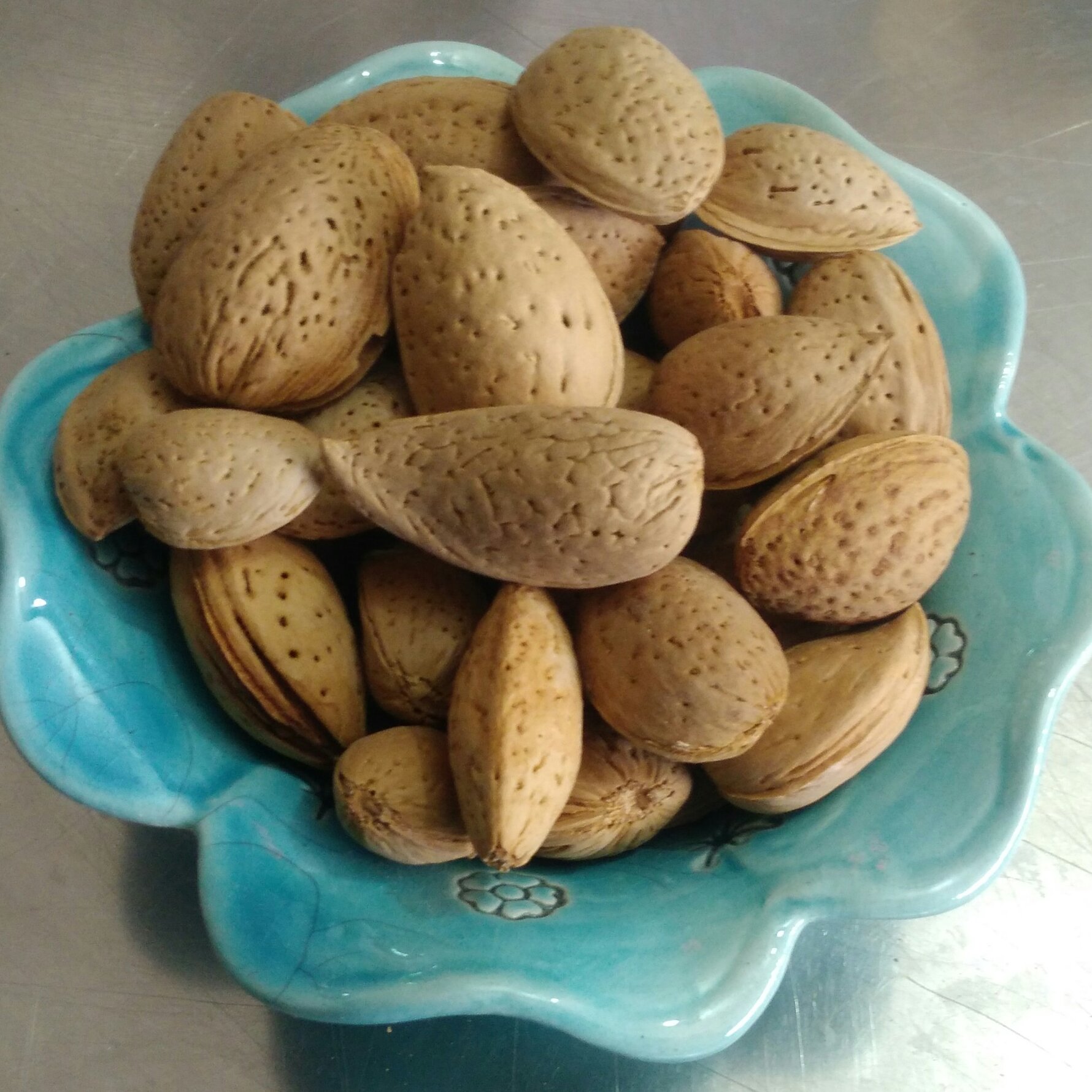 بادام سنگی تلخ دهاتی یا بادام مناسب سرمه و روغن گیری