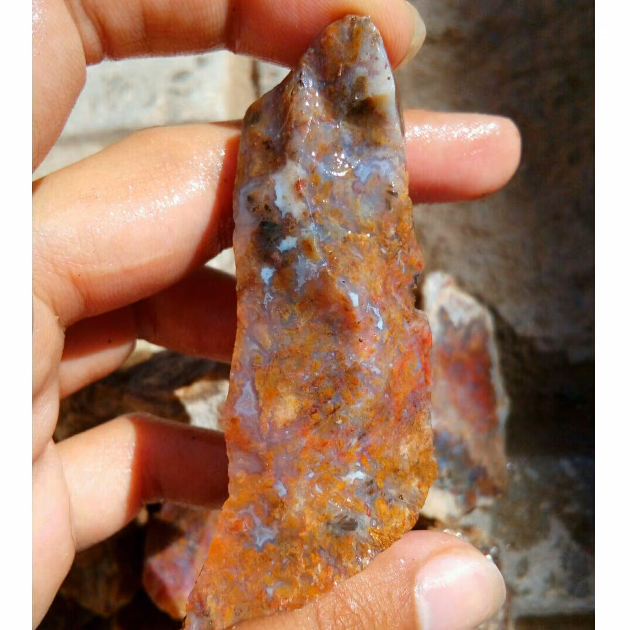 راف بسیار زیبای شجر رنگی مختص تراش نگین های بسیار زیبا و کلکسیون