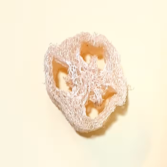 لوفا حلقه ای مخصوص زیر صابون