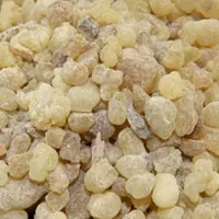کندر  خوراکی اعلا یک کیلو گرمی عمده 5 ستاره صدرا