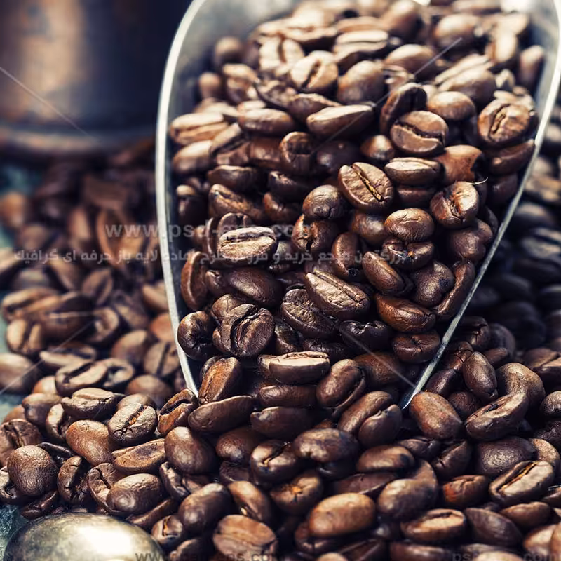 دانه قهوه کافئین بالا 500 گرمی
