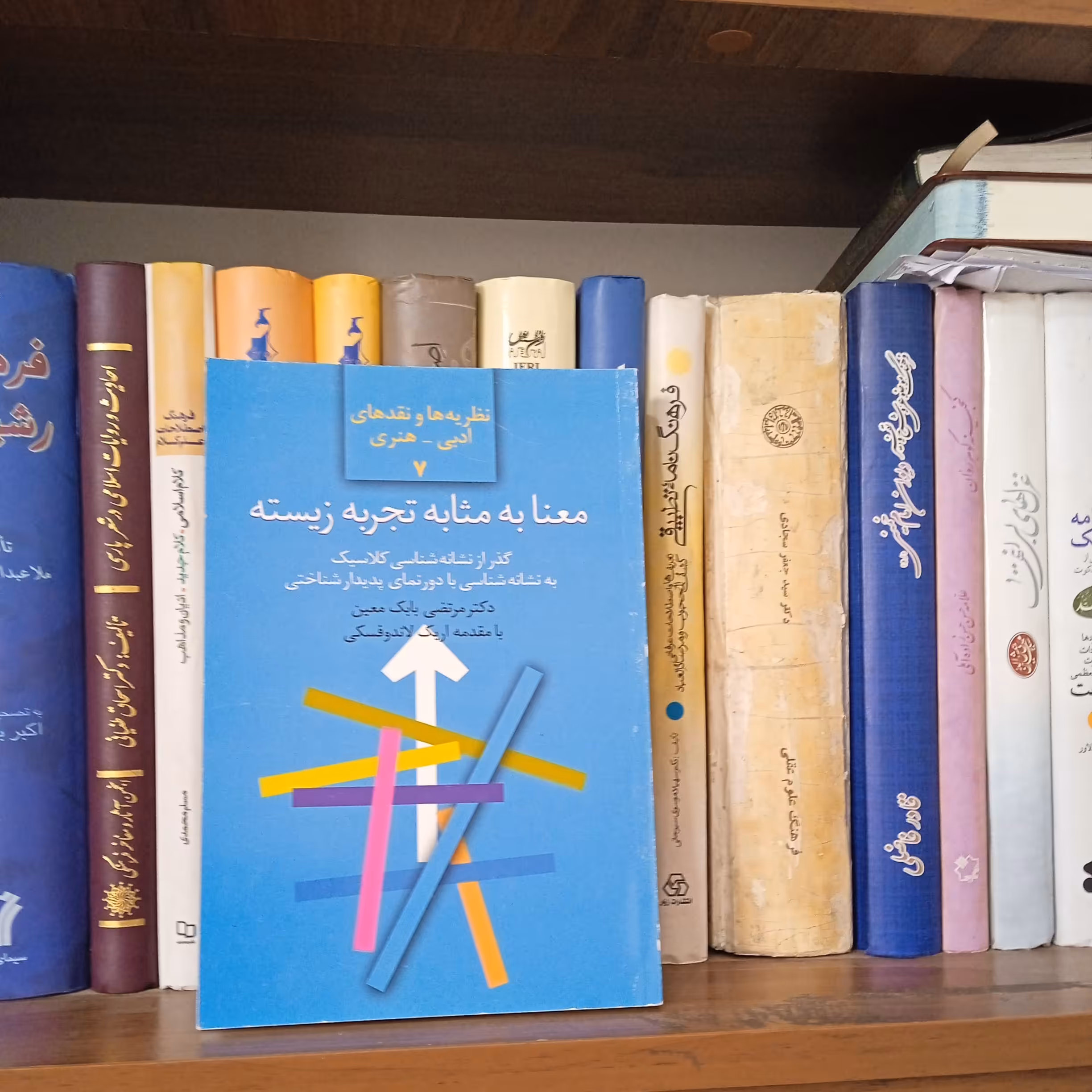 معنا به مثابه تجربه زیسته گذر از نشانه شناسی کلاسیک به نشانه شناسی پدیدارشناختی