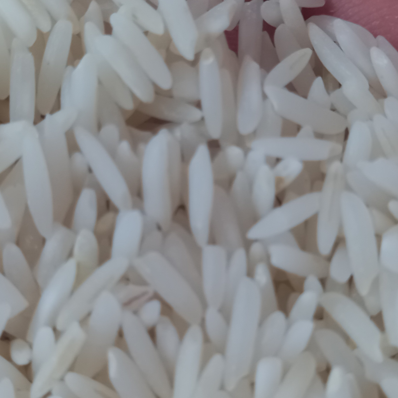 برنج هاشمی از مزارع لنگرود (10 کیلو گرم )