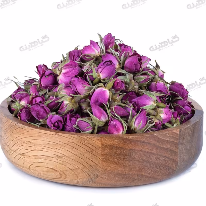 غنچه گل محمدی درجه 2