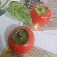 خرمالو سفالی (پودر سنگ)