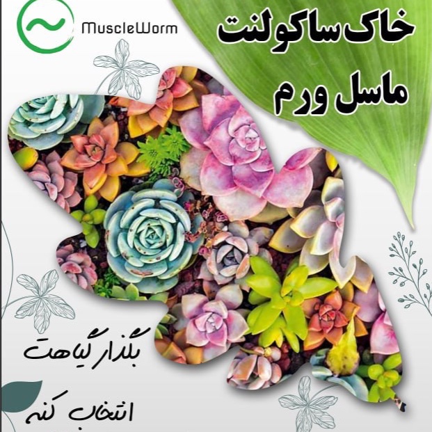 خاک ساکولنت ماسل ورم 5 لیتری (پس کرایه)
