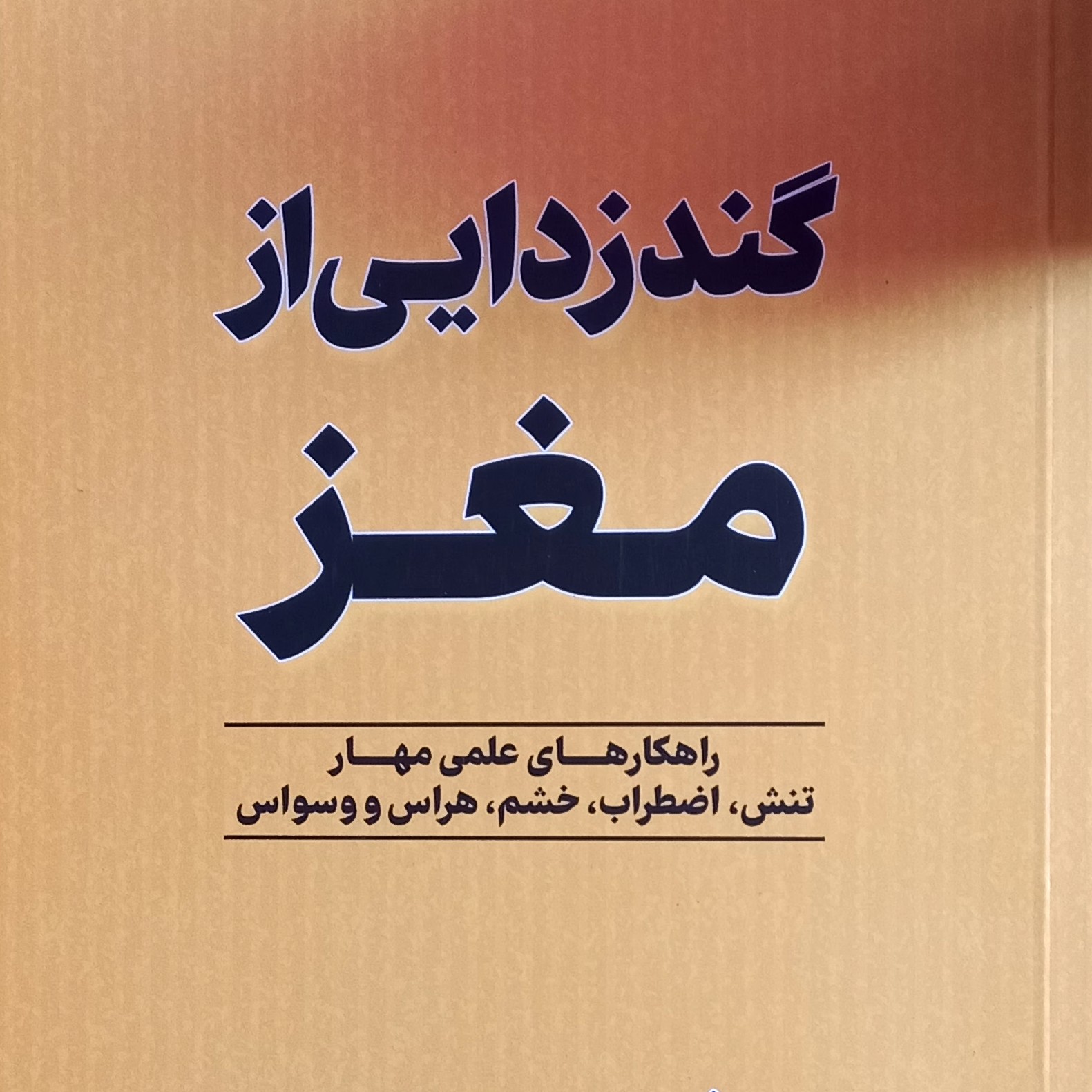 گندزدایی از مغز