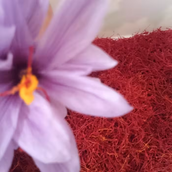 زعفران سوپر نگین صادراتی. یک مثقال