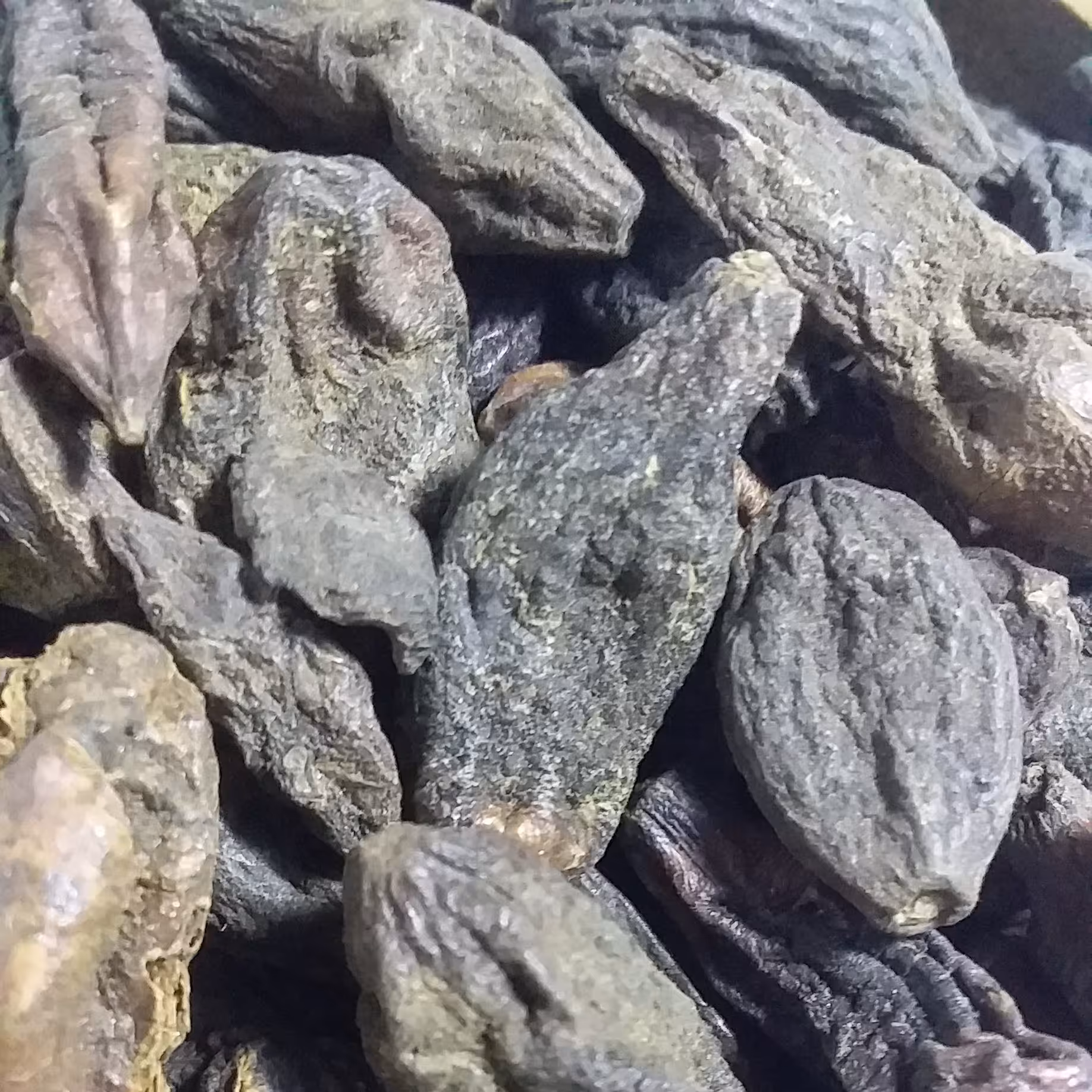 هلیله سیاه-100گرم