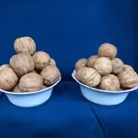 لیمو خشک (امانی)درشت و صادراتی رودان