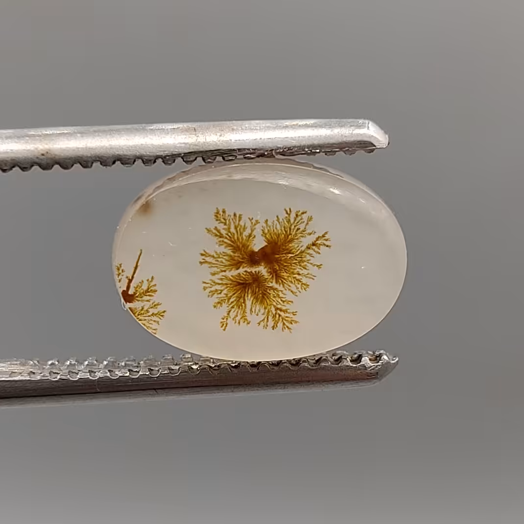 شجر طبیعی و معدنی اصل سایز 12.5 میلیمتر 