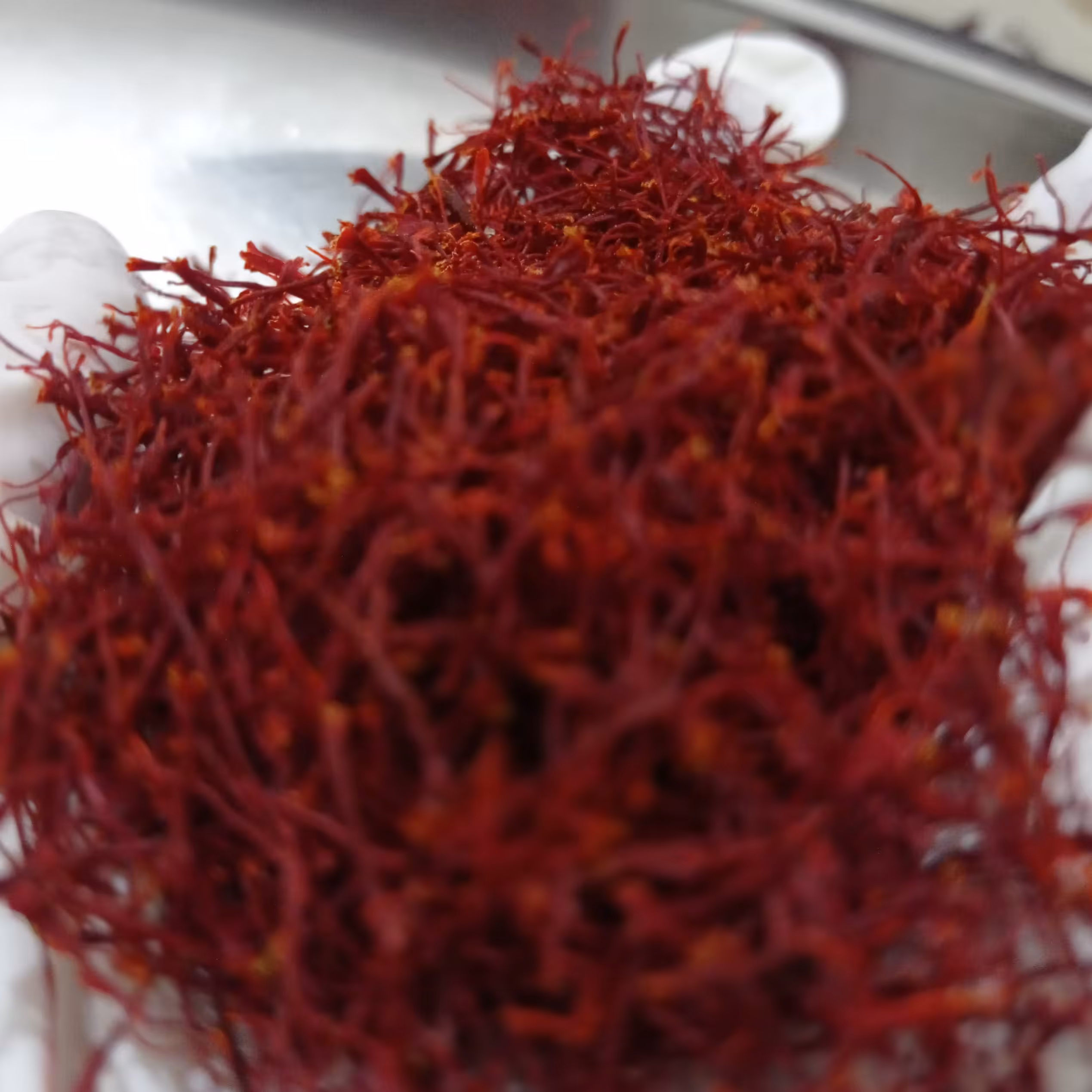 زعفران شبعه نگین خواص دار زعفرانیه