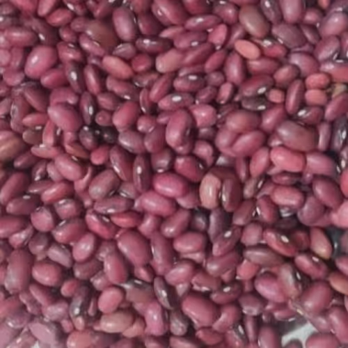 لوبیا قرمز درجه یک، تمیز و خوش پخت