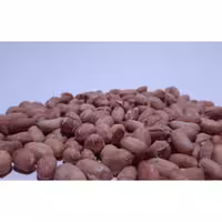 بادام زمینی برشته نمکی 500 گرمی