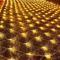 ریسه توری 2در3 متر  آفتابی 