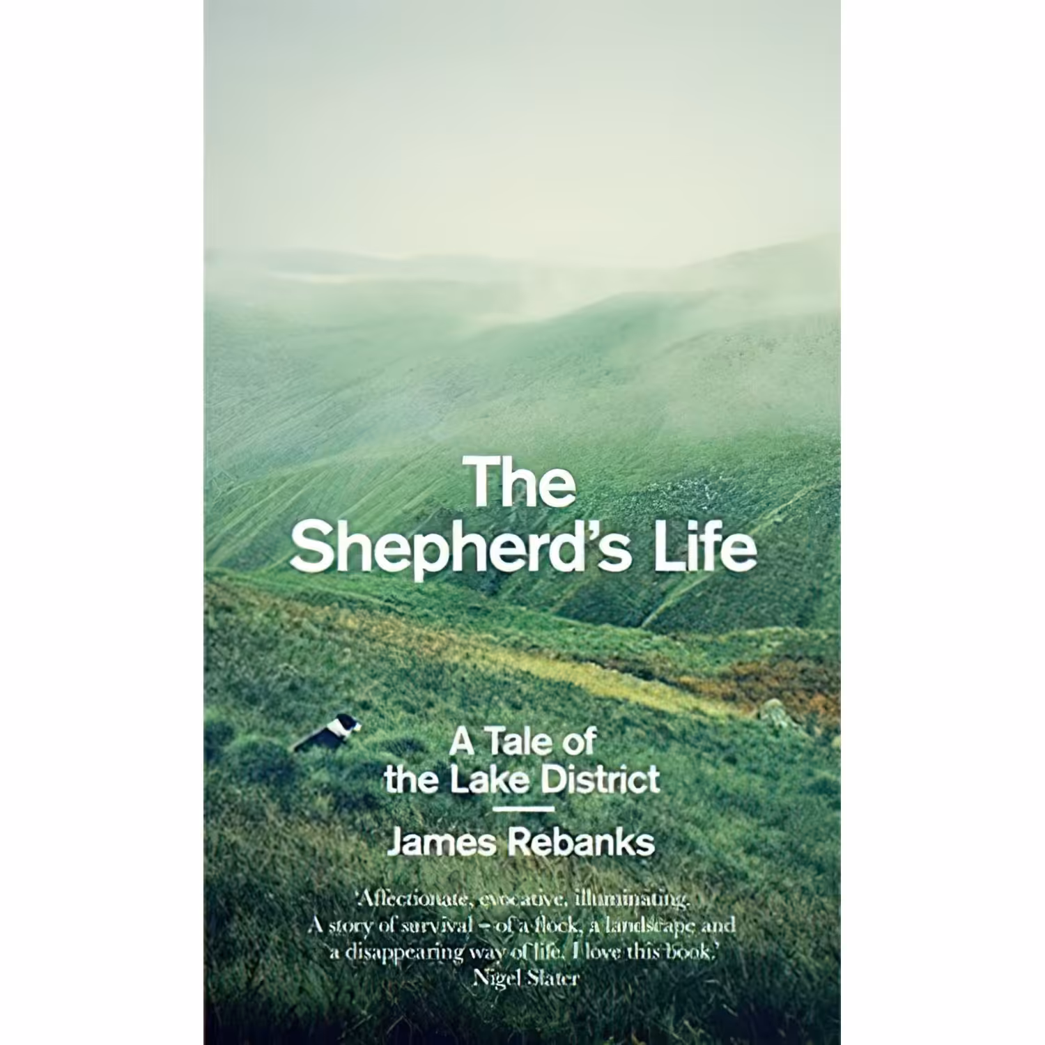 کتاب زبان اصلی The Shepherds Life اثر James Rebanks and Illus with photos