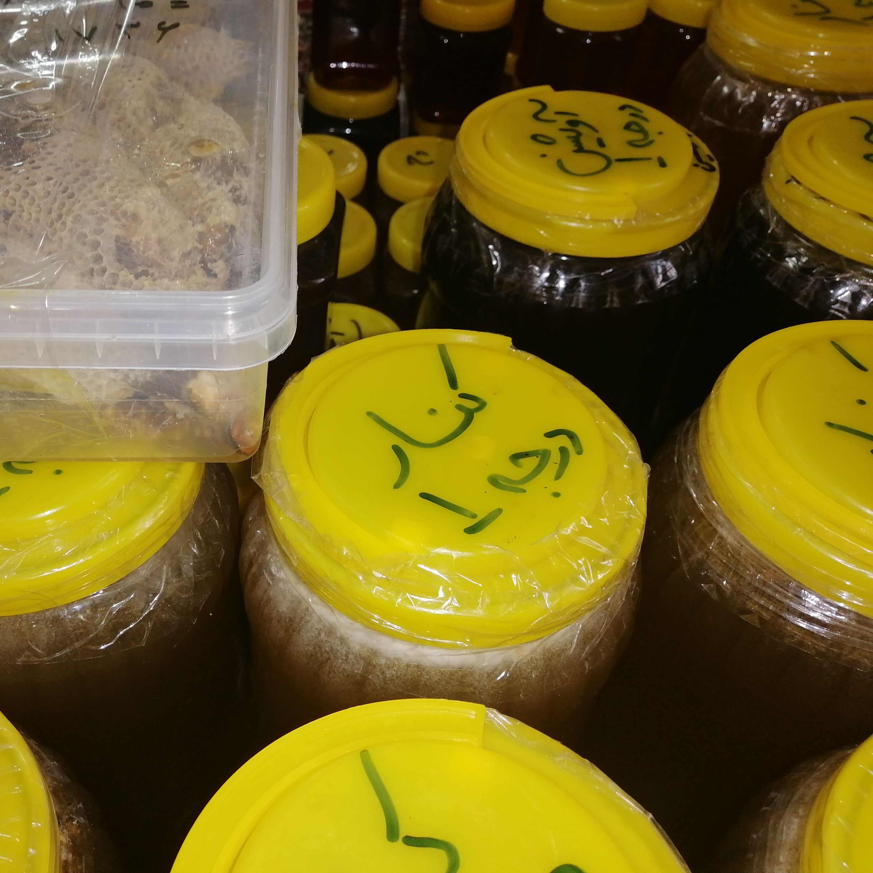 عسل کنار ( سدر) خوزستان طبیعی و درجه یک