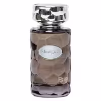 ادو پرفیوم  شات گان  مردانه  ورسای رایحه چوب چرم WOOD