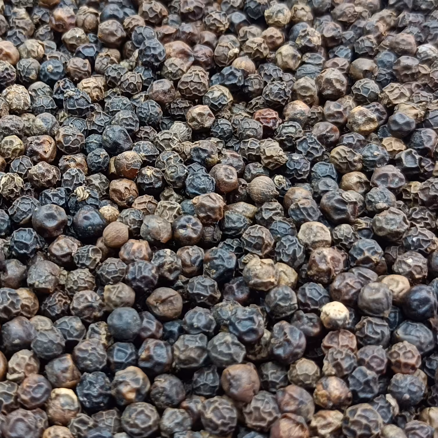 80 گرم فلفل سیاه گرانول درجه یک فوق العاده تمیز 