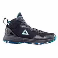 کفش بسکتبال پیک مخصوص حرفه ای ها peak  E53151A shoes orginal