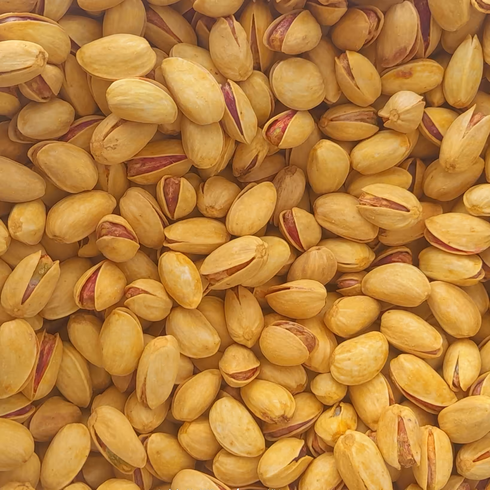 پسته احمدآقایی تفت داده (500 گرمی) - ارسال رایگان