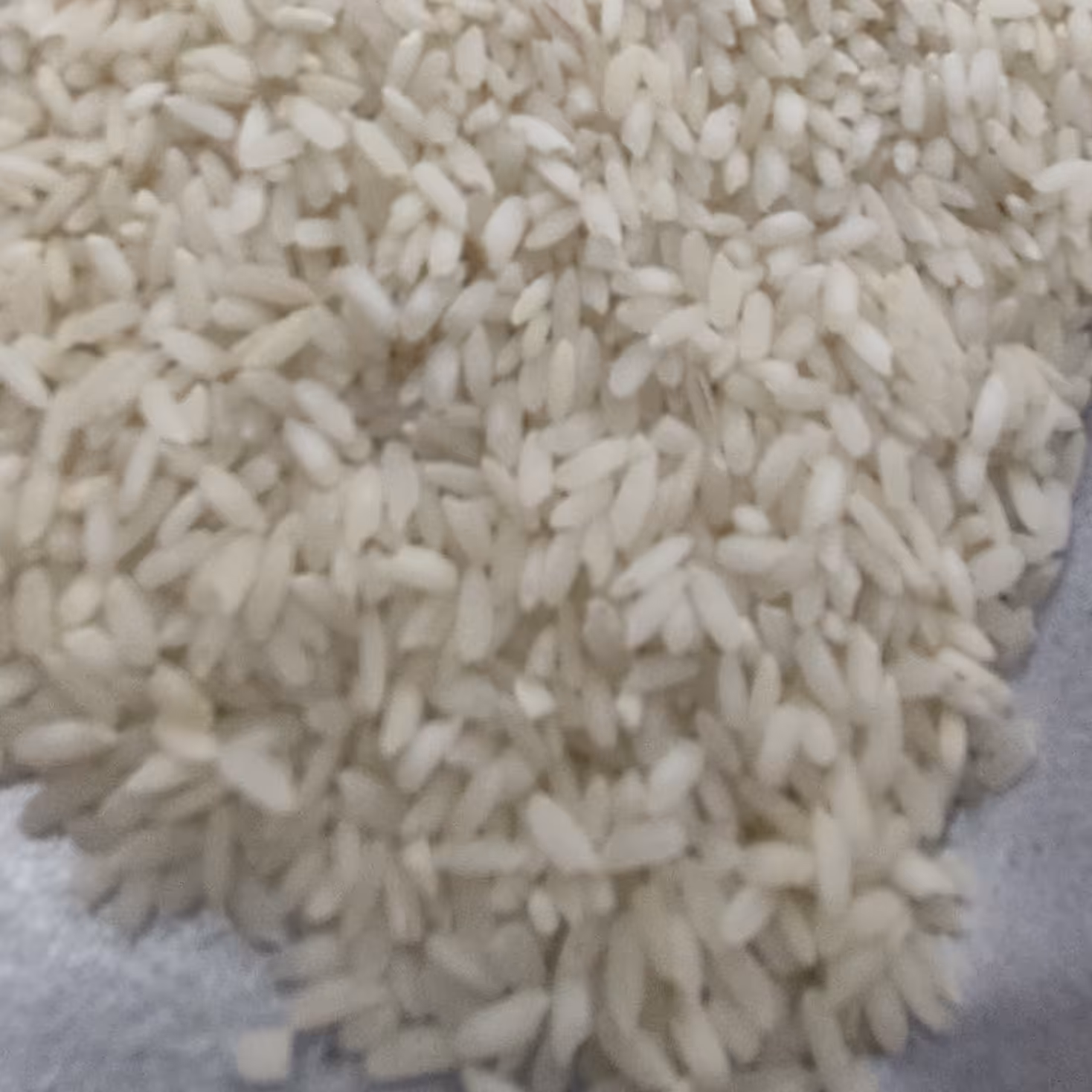 برنج چمپا