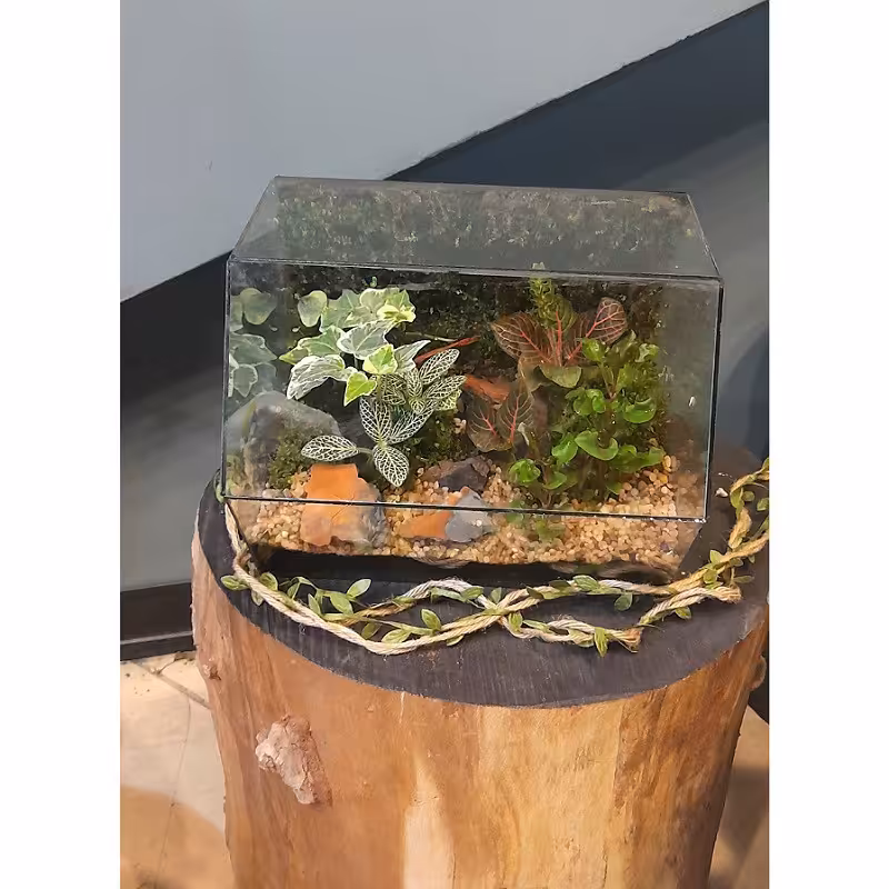 تراریوم چندوجهی مدل باغ بهشت