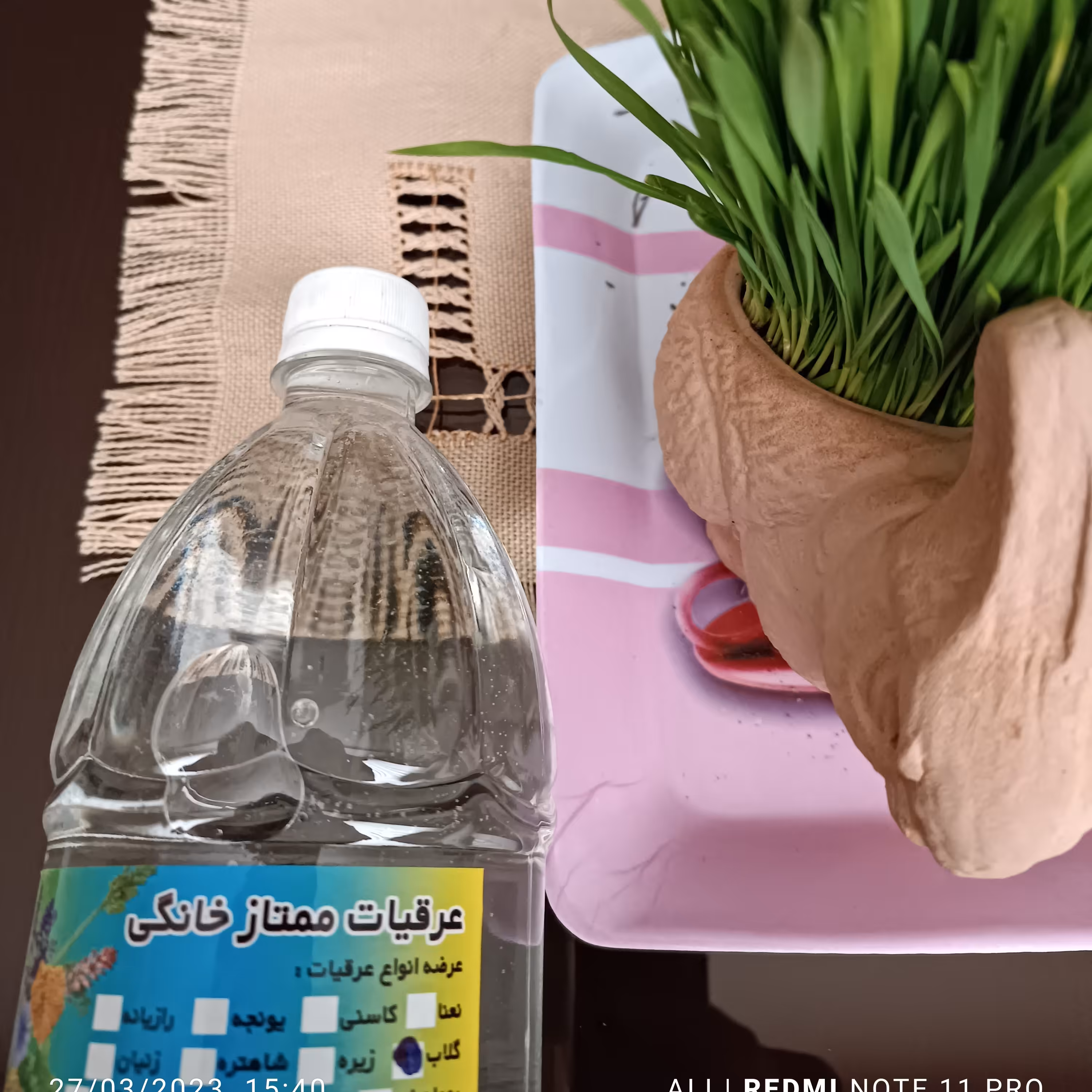 گلاب اعلا خانگی 