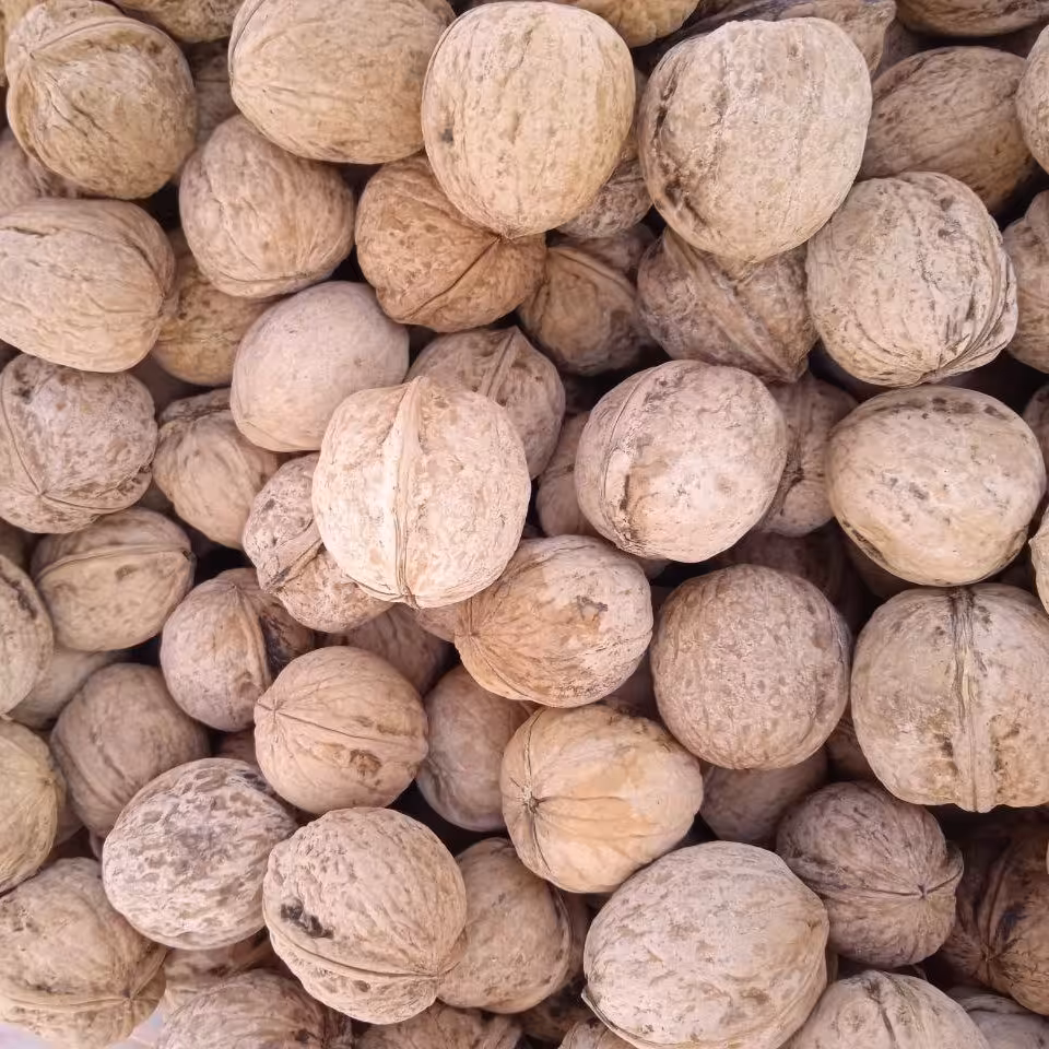 گردوی پرچرب مغز سفید درجه یک تویسرکان(تضمین کیفیت) 2800 گرمی،محصول سال 1402