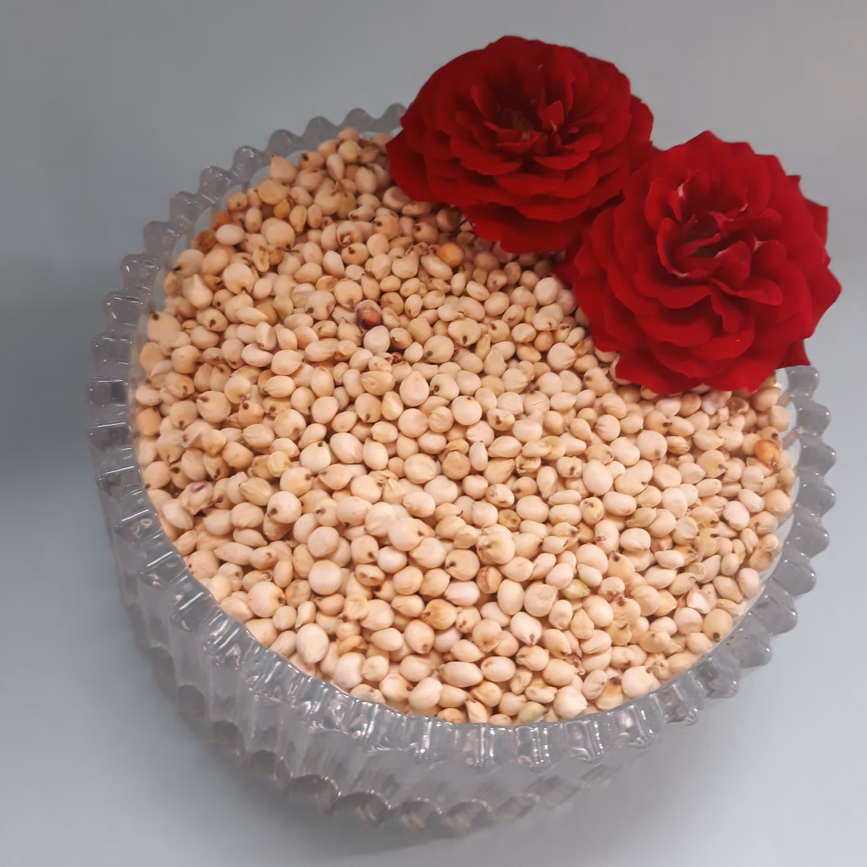 بذر ذرت سفید (زوره)(800گرمی)