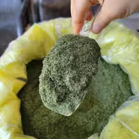 سبزی شوید خشک (200 گرم) بدون ساقه  سوغات دزفول