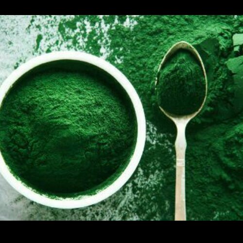 جلبک دریایی اسپیرولینا ( گرید خوراکی ) لطفا به هیچ عنوان برای مصرف خوراکی سفارش ندید