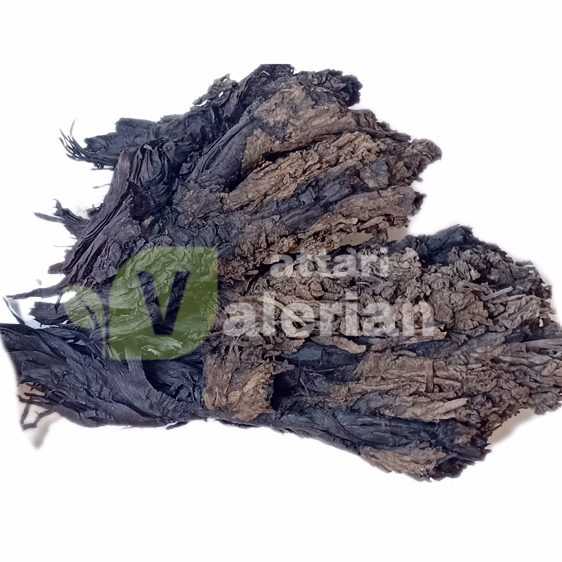 هواچوبه سیاه - ابوخلسا