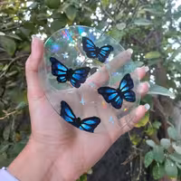 CD نقاشی روی 