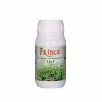 کود 250 سی سی پرنس ایکس گرین