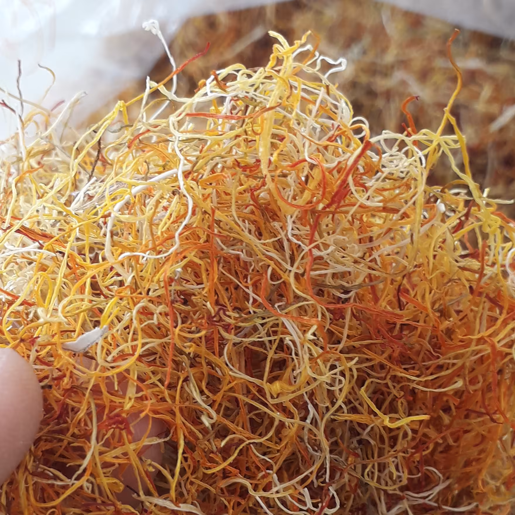 ریشه زعفران نگین 2